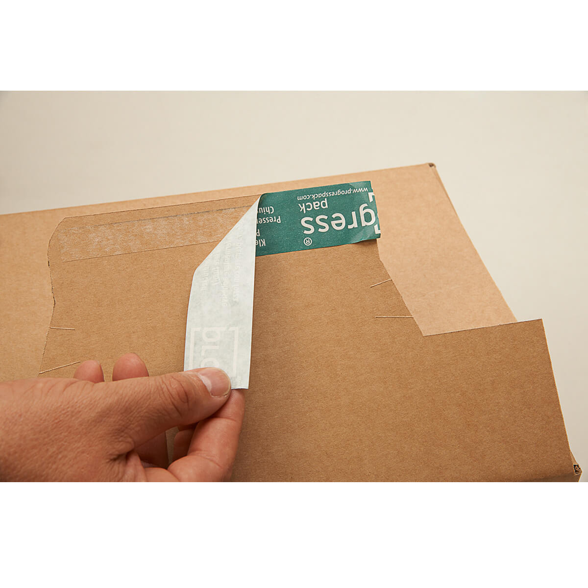 Folding carton 1-wall 310x230x160 mm din a4+ self-adhesive + tear strip - progressBOX