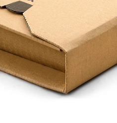 Book packaging cardboard eco plus 217x155x60-0 mm din a5 self-adhesive + tear strip - progressPACK