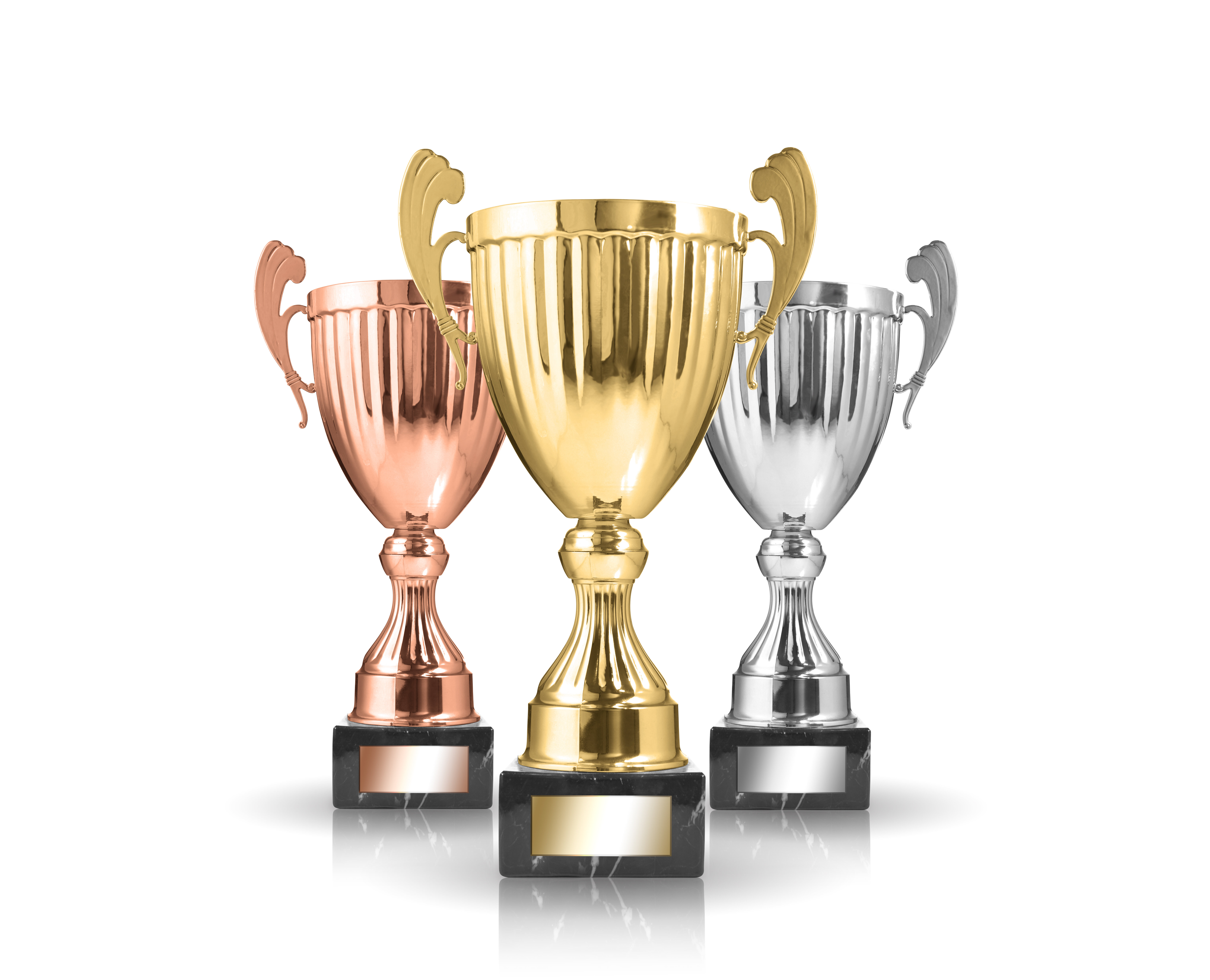 premium customer programm