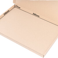 Large Letter Carton in Brown with dimensions 350x250x20 mm, DIN A4 / B4, FEFCO 0427, Brand: verpacking (View 2)