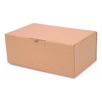 Faltschachtel in Braun mit den Maßen 250x150x100 mm, FEFCO 0426, Hersteller: verpacking (Ansicht 4)