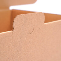 Faltschachtel in Braun mit den Maßen 250x150x100 mm, FEFCO 0426, Hersteller: verpacking (Ansicht 5)