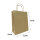 Paper Bags in Brown with dimensions 320x410 mm, Brand: PODARI (View 1)