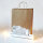 Paper Bags in Brown with dimensions 320x410 mm, Brand: PODARI (View 6)