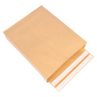 Shipping Bag (strong Paper) in Brown with dimensions 450x350x120 mm, Brand: verpacking (View 1)