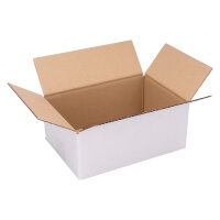 Faltkarton in Weiß mit den Maßen 255x180x110 mm, FEFCO 0201, Hersteller: verpacking  (Hauptbild)