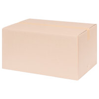Faltkarton in Braun mit den Maßen 590x390x310 mm, FEFCO 0201, Hersteller: verpacking (Ansicht 1)