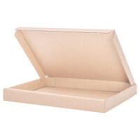 Großbriefkarton in Braun mit den Maßen 165x125x20 mm, FEFCO 0426, Hersteller: verpacking (Ansicht 1)