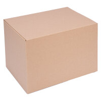 Automatikkarton in Braun mit den Maßen 310x220x225 mm, FEFCO 0703, Hersteller: verpacking (Ansicht 1)