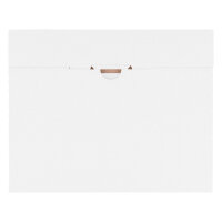 Großbriefkarton KV 1: 245x195x20 mm schnelle...