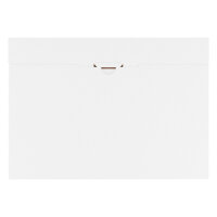Großbriefkarton KV 2: 350x250x20 mm schnelle...