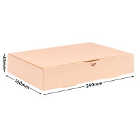 Maxibriefkarton in Braun mit den Maßen 240x160x45 mm, FEFCO 0426, Hersteller: verpacking (Ansicht 1)
