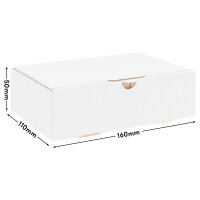 Maxi Letter Carton in White with dimensions 160x110x50 mm, DIN A6, FEFCO 0426, Brand: verpacking (View 1)